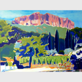 JARDIN DE CASSIS