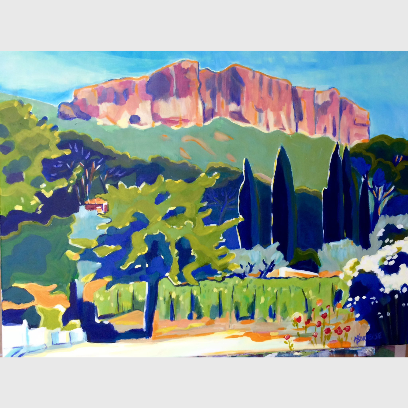 JARDIN DE CASSIS