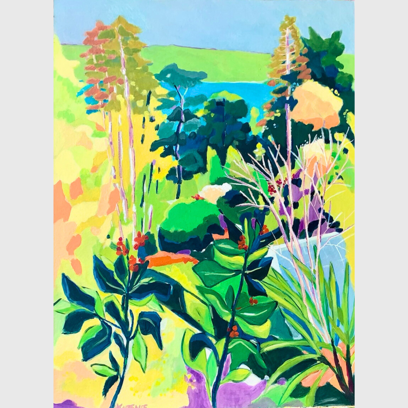 printemps/spring/flower/fleur/couleur